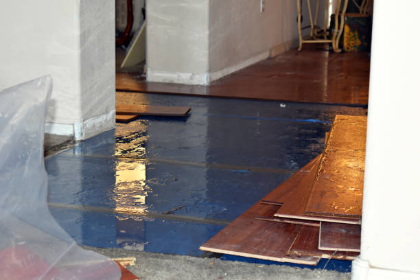 Professional Basement Flood Cleanup technician working in Harlan, IN